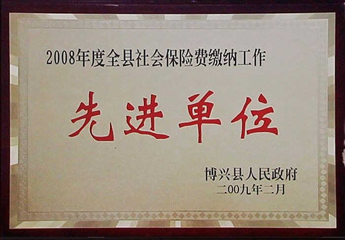 2008 County Social insurance contributions advanced Units