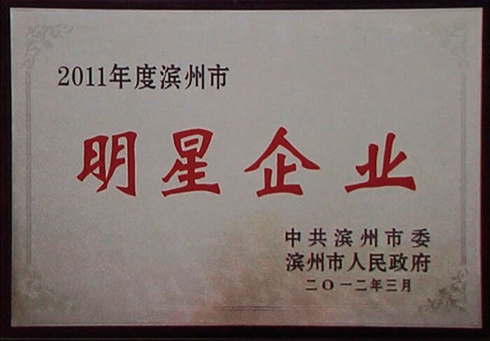 榮獲2011年度濱州市明星企業